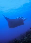 Profile picture for user edith.merle@dreets.gouv.fr