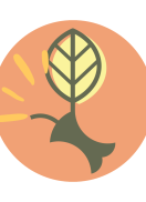 Profile picture for user ludivineperdu@gmail.com