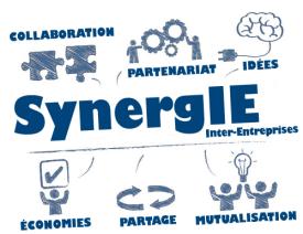 synergie normandie