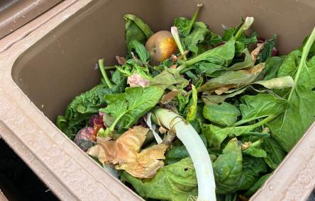 BIODECHETS Normandie