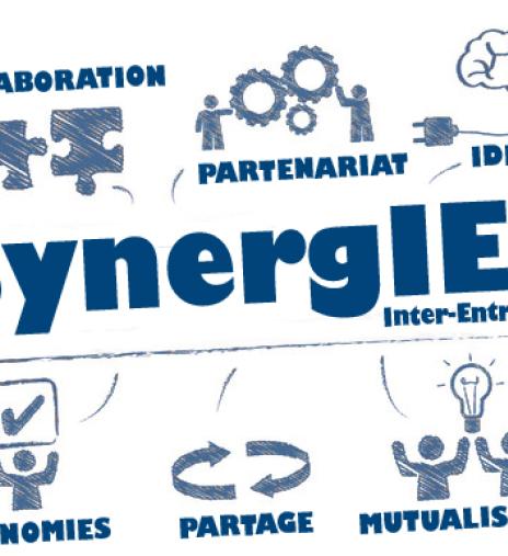 synergie normandie